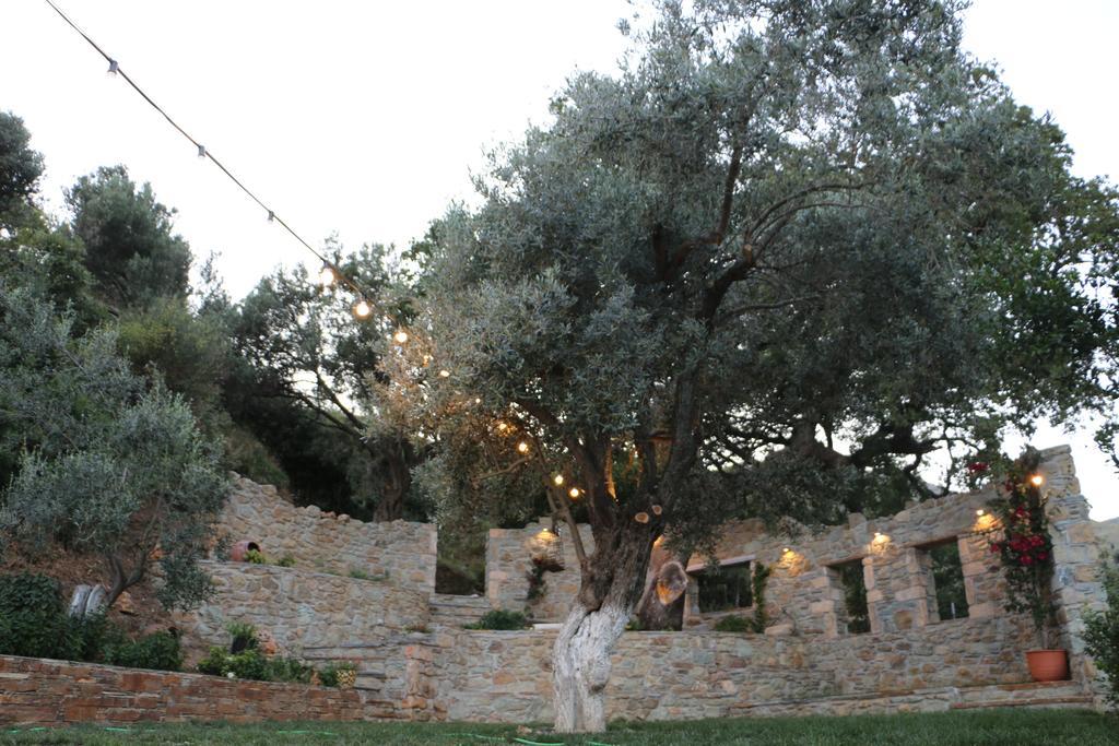 Naiades Villas Karystos  Dış mekan fotoğraf