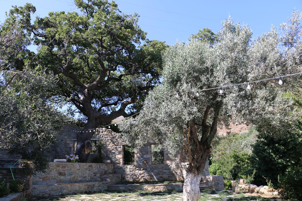 Naiades Villas Karystos  Dış mekan fotoğraf