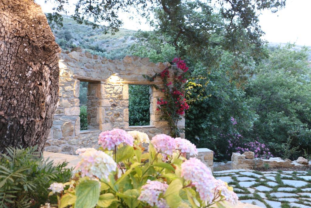 Naiades Villas Karystos  Dış mekan fotoğraf